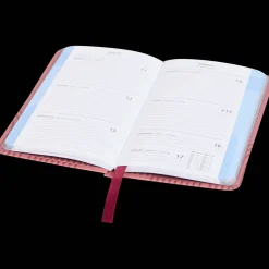 Agendas Et Calendriers*Action Agenda 2025