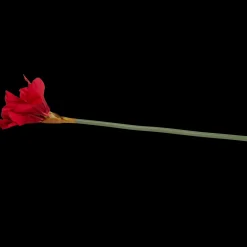 Plantes Et Fleurs Artificielles*Action Amaryllis artificielle sur tige