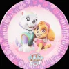 Articles De Fête*Paw Patrol Assiettes en carton