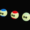 Chien|Jouets*Action Balles de tennis pour chien Beasty