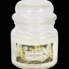 Bougies*Action Bougie parfumée Absolu Chic