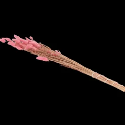 Semis Et Plantes*Action Bouquet de fleurs séchées