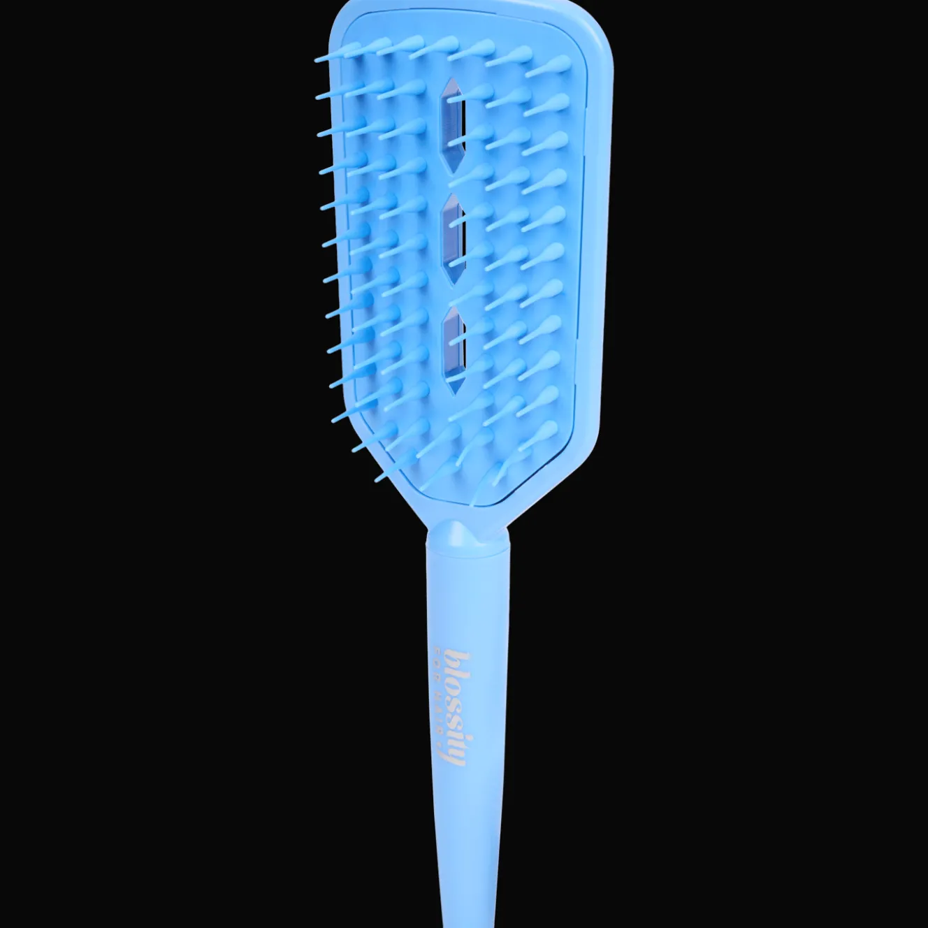 Soins Capillaires*Action Brosse sèche-cheveux Blossity