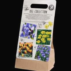 Semis Et Plantes*Action Bulbes de fleurs