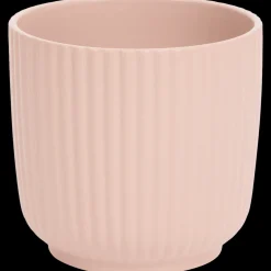 Pots De Fleurs*Action Cache-pot Costa