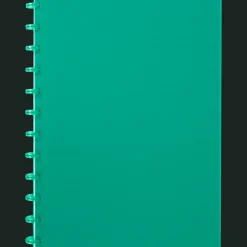 Papier Et Cahiers*Action Cahier à reliure à anneaux A4