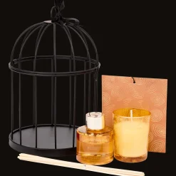 Bougies*Action Coffret cadeau bougie et diffuseur à bâtonnets