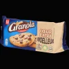 Chocolat*Granola Cookies