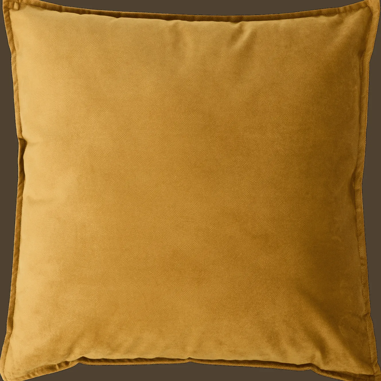 Oreillers*Action Coussin décoratif en velours Lilou