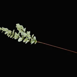 Plantes Et Fleurs Artificielles*Action Eucalyptus artificiel sur tige Excellent Flowers