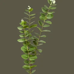 Plantes Et Fleurs Artificielles*Action Eucalyptus artificiel sur tige Excellent Flowers