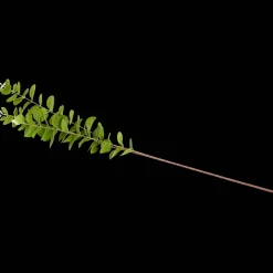 Plantes Et Fleurs Artificielles*Action Eucalyptus artificiel sur tige Excellent Flowers