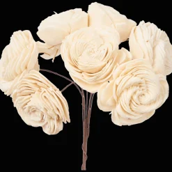 Plantes Et Fleurs Artificielles*Action Fleurs séchées