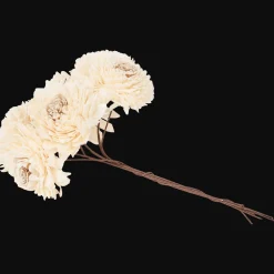 Plantes Et Fleurs Artificielles*Action Fleurs séchées