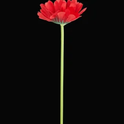 Plantes Et Fleurs Artificielles*Action Gerbera artificiel