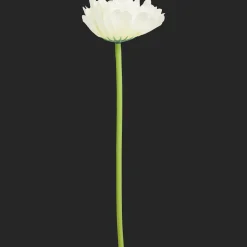 Plantes Et Fleurs Artificielles*Action Gerbera artificiel