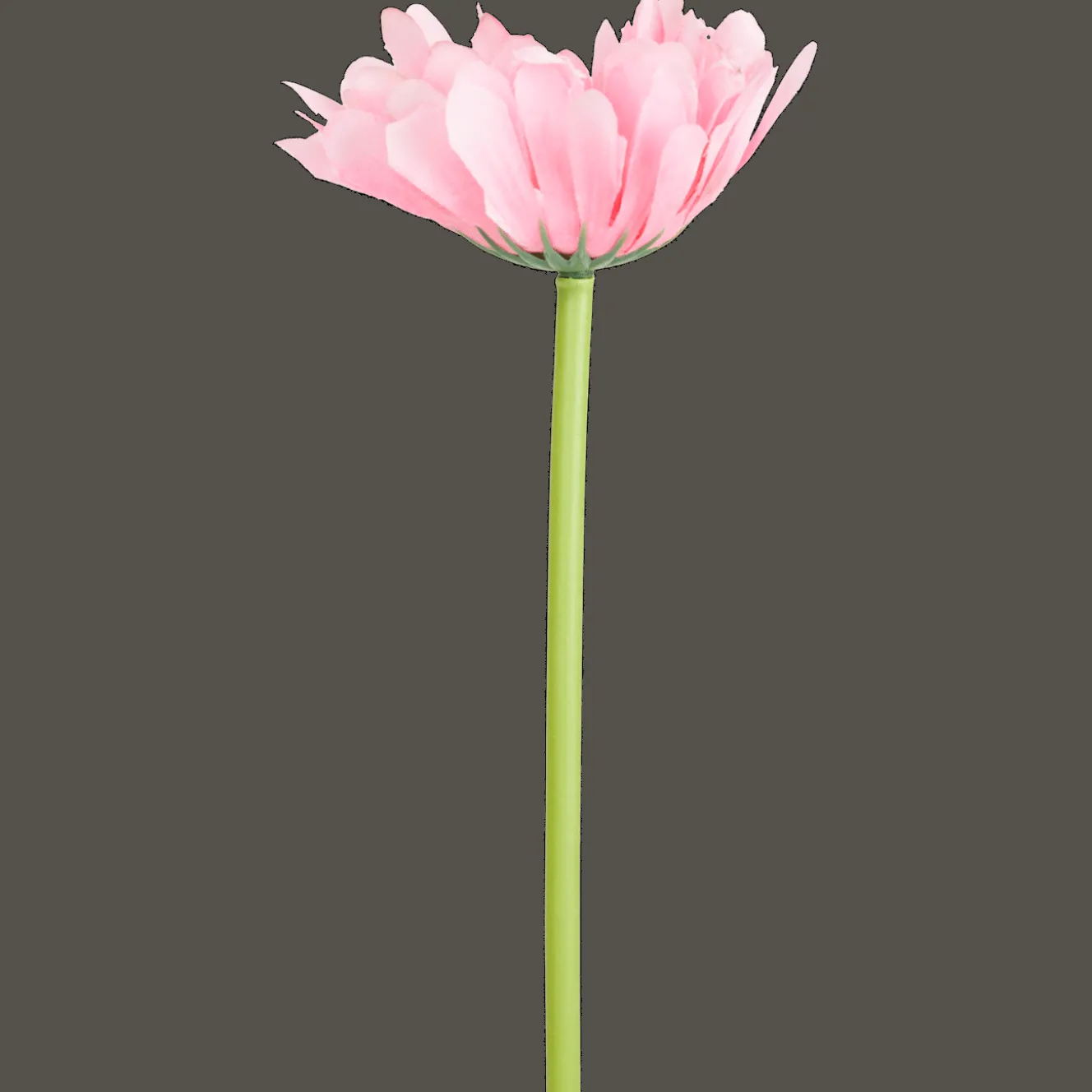 Plantes Et Fleurs Artificielles*Action Gerbera artificiel