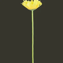 Plantes Et Fleurs Artificielles*Action Gerbera artificiel