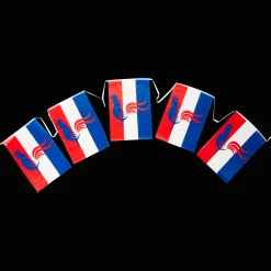Articles De Fête*Action Guirlande de drapeaux