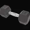 Kettlebell & Dumbbell*Kaytan Haltère