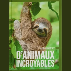 Coloriage Et Dessin*Action Livre découverte
