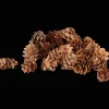 Accessoires Pour La Maison*Action Mélange d'éléments naturels Home Accents