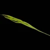 Plantes Et Fleurs Artificielles*Action Panache artificiel