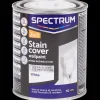 Peinture*Spectrum Peinture murale blanche 2 en 1 Masque-taches