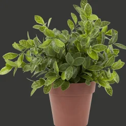 Plantes Et Fleurs Artificielles*Action Plante aromatique dans pot