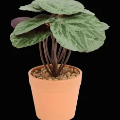Plantes Et Fleurs Artificielles*Action Plante artificielle en pot