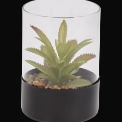 Plantes Et Fleurs Artificielles*Action Plante grasse artificielle dans un terrarium