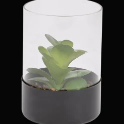 Plantes Et Fleurs Artificielles*Action Plante grasse artificielle dans un terrarium