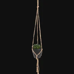 Plantes Et Fleurs Artificielles*Action Plante grasse artificielle dans un pot suspendu