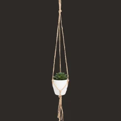 Plantes Et Fleurs Artificielles*Action Plante grasse artificielle dans un pot suspendu