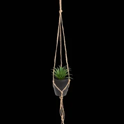 Plantes Et Fleurs Artificielles*Action Plante grasse artificielle dans un pot suspendu