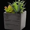 Plantes Et Fleurs Artificielles*Action Plante grasse artificielle en pot