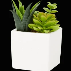 Plantes Et Fleurs Artificielles*Action Plante grasse artificielle en pot