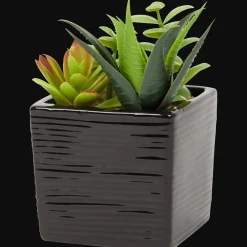 Plantes Et Fleurs Artificielles*Action Plante grasse artificielle en pot