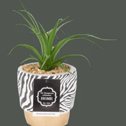 Plantes Et Fleurs Artificielles*Action Plante grasse artificielle en pot