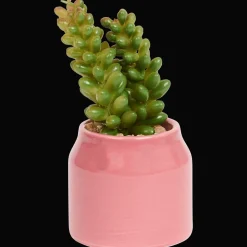 Plantes Et Fleurs Artificielles*Action Plante grasse artificielle en pot Home Accents