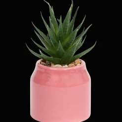 Plantes Et Fleurs Artificielles*Action Plante grasse artificielle en pot Home Accents