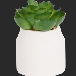 Plantes Et Fleurs Artificielles*Action Plante grasse artificielle en pot Home Accents