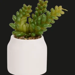 Plantes Et Fleurs Artificielles*Action Plante grasse artificielle en pot Home Accents