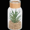 Plantes Et Fleurs Artificielles*Action Plante grasse dans un terrarium