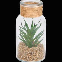 Plantes Et Fleurs Artificielles*Action Plante grasse dans un terrarium