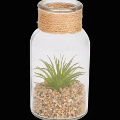 Plantes Et Fleurs Artificielles*Action Plante grasse dans un terrarium