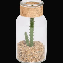 Plantes Et Fleurs Artificielles*Action Plante grasse dans un terrarium
