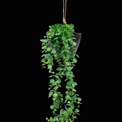 Plantes Et Fleurs Artificielles*Action Plante suspendue artificielle