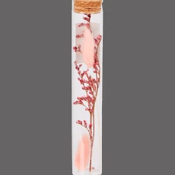 Accessoires Pour La Maison*Action Tube avec fleurs séchées