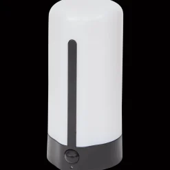 Lampes*Action Veilleuse LED rechargeable